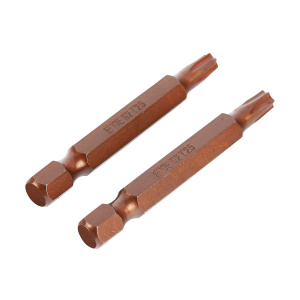 Биты Torx T25 50 мм (2 шт)  Edge By Patriot 818010033 221877